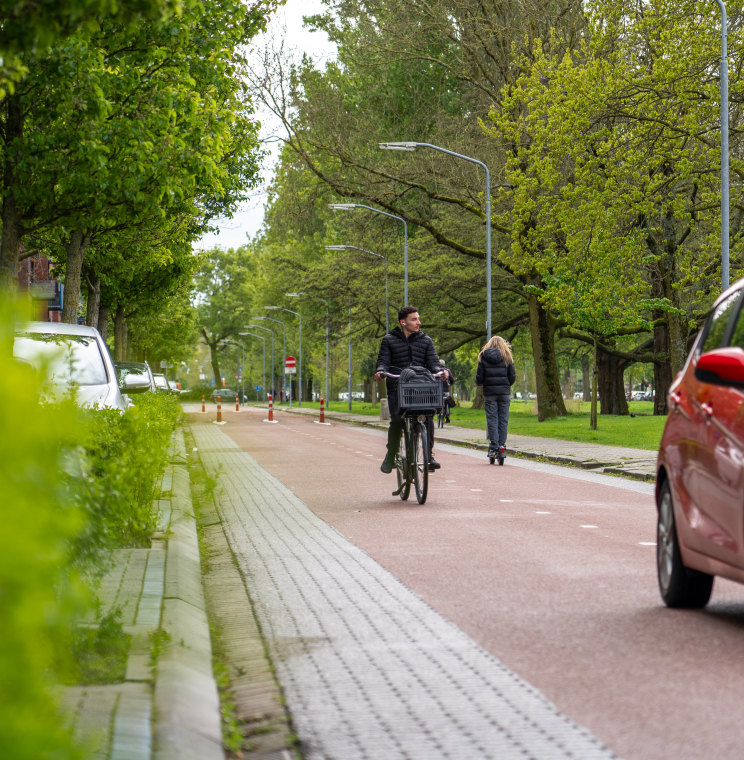 Dordrecht - F. de Winter-19.jpg