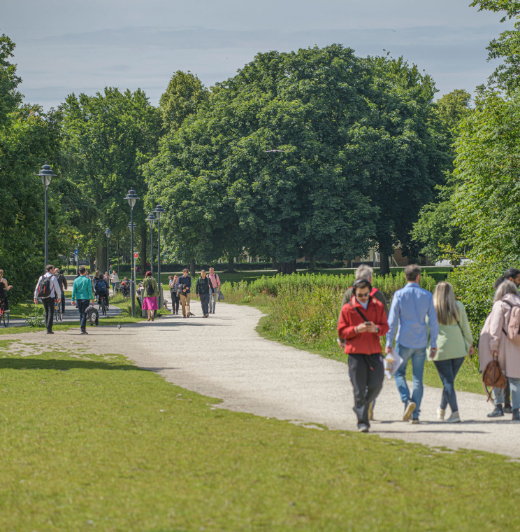 Nederlands Loopstromenmodel
