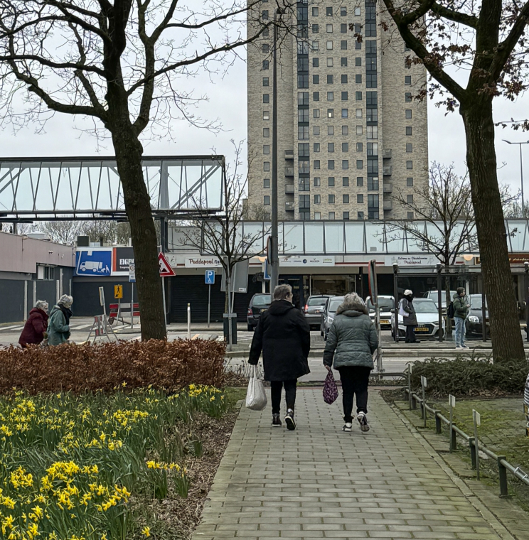 Voetgangersnetwerk Paddepoel