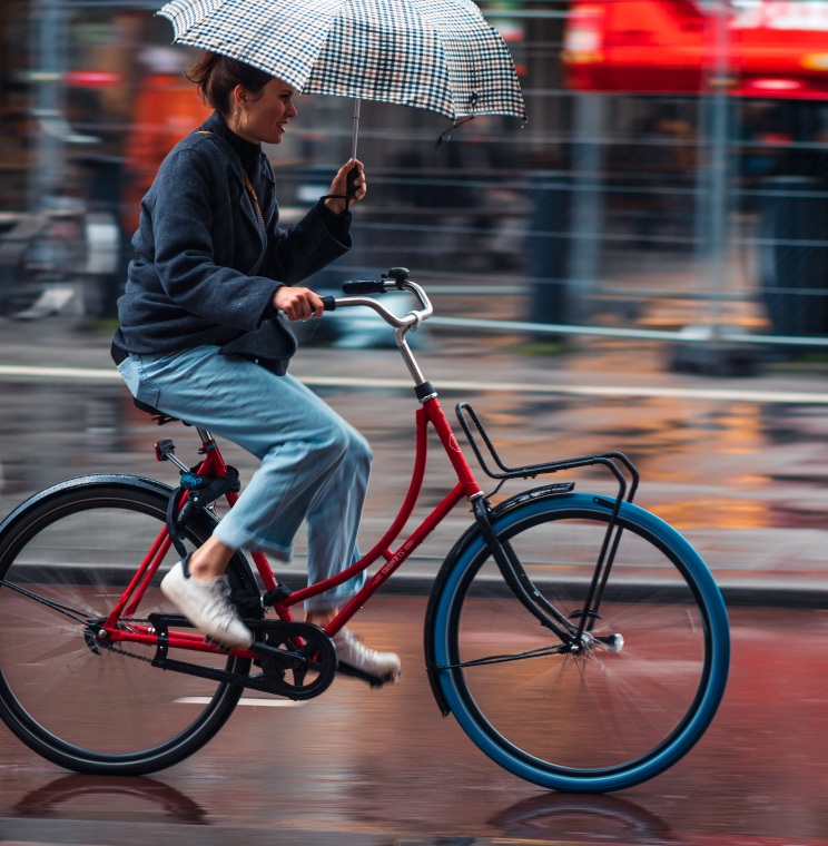 Weersinvloeden Goudappel Mobility Twin 