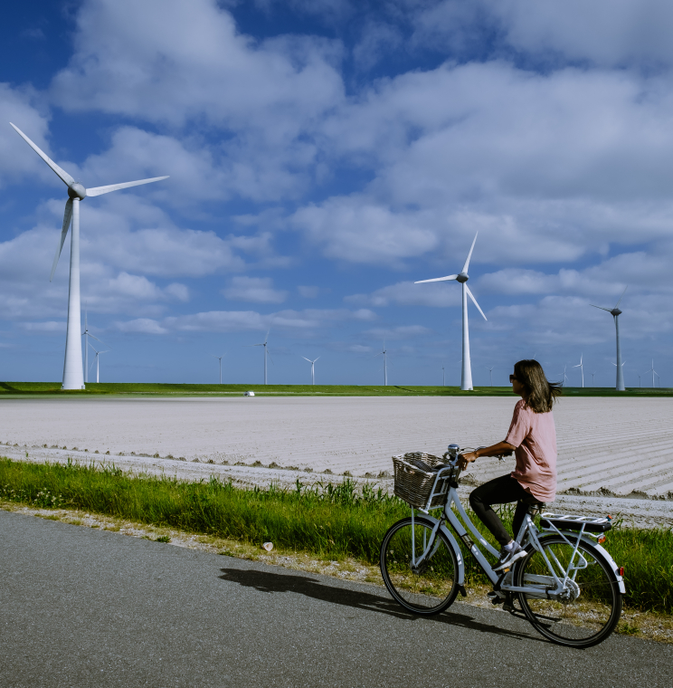 Risicoanalyse buitengebied Noordoostpolder