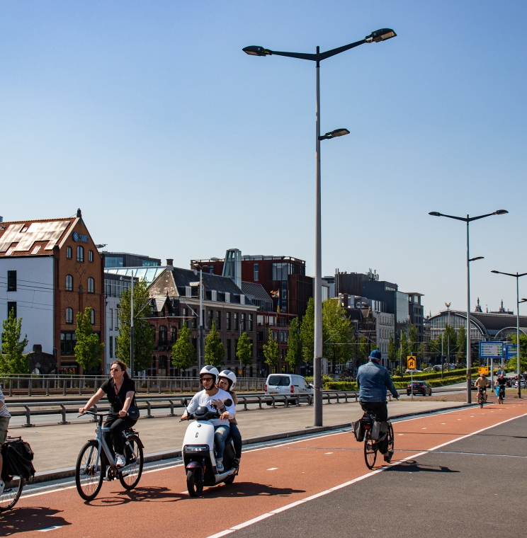 Nederlands Verplaatsingspanel (NVP)