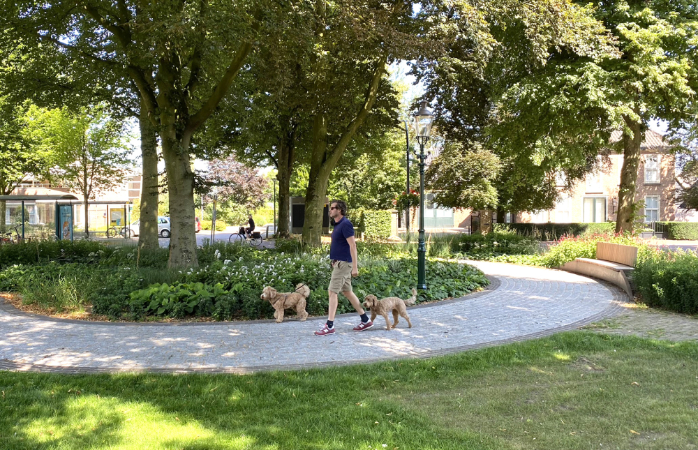 Groen IJsselplein in Steenderen