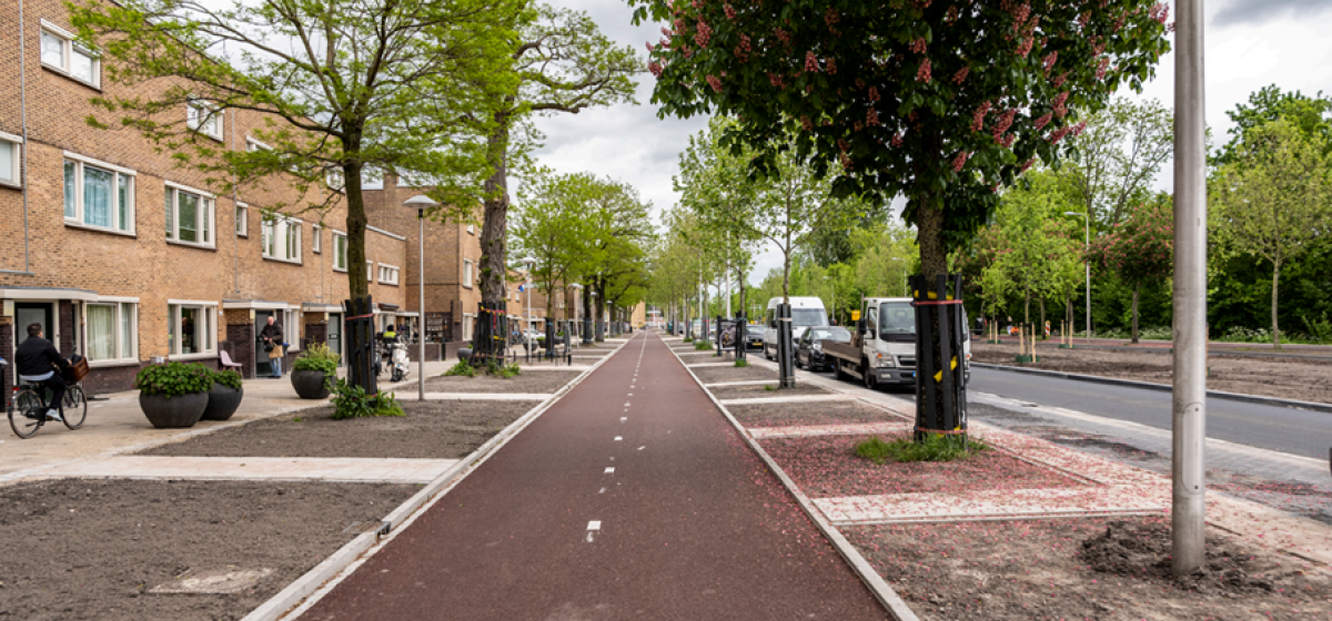 Westelijke stadsboulevard (bron gemeente Utrecht)