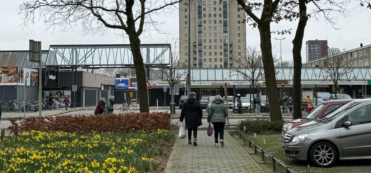 Voetgangersnetwerk Paddepoel