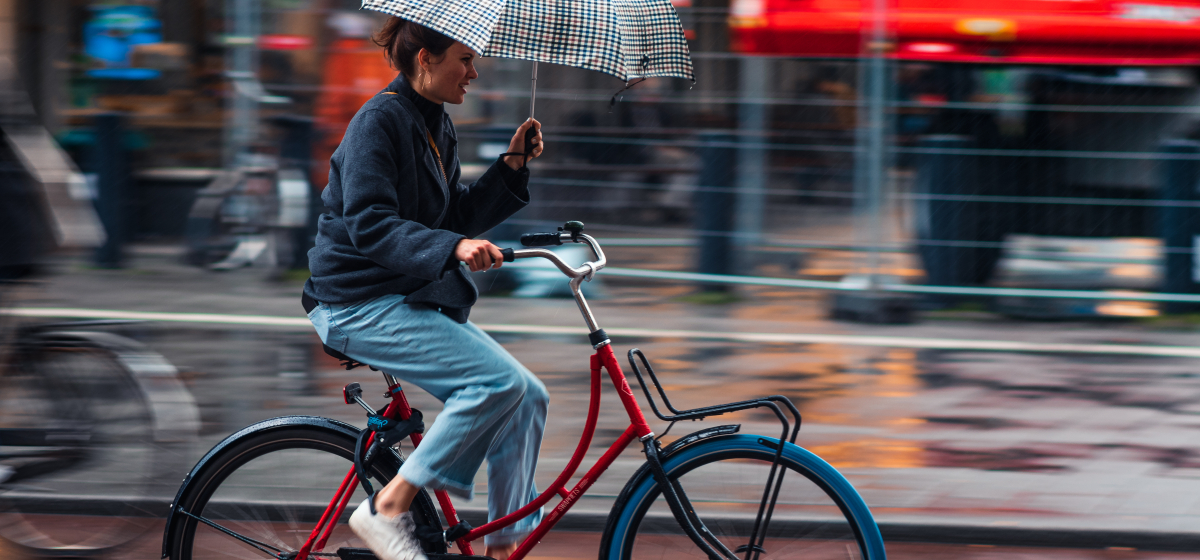 Weersinvloeden Goudappel Mobility Twin 