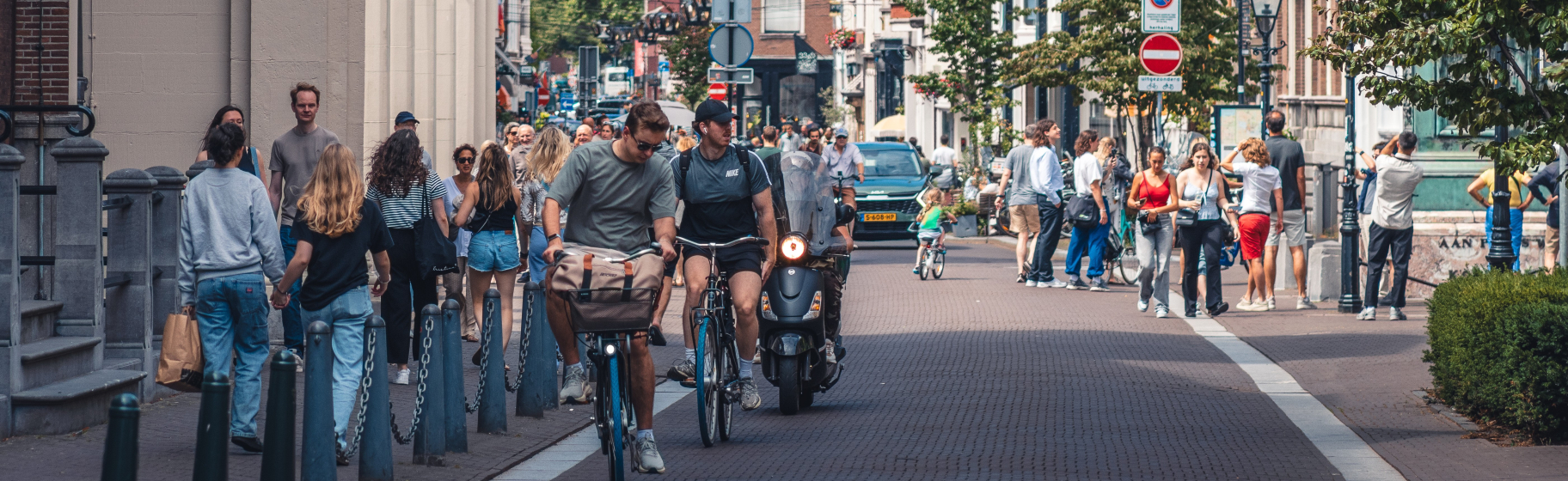 Rekenkameronderzoeken