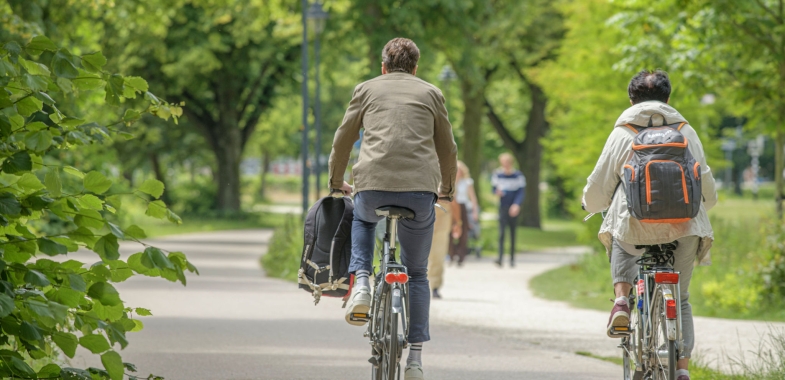 Woon-werkmobiliteit