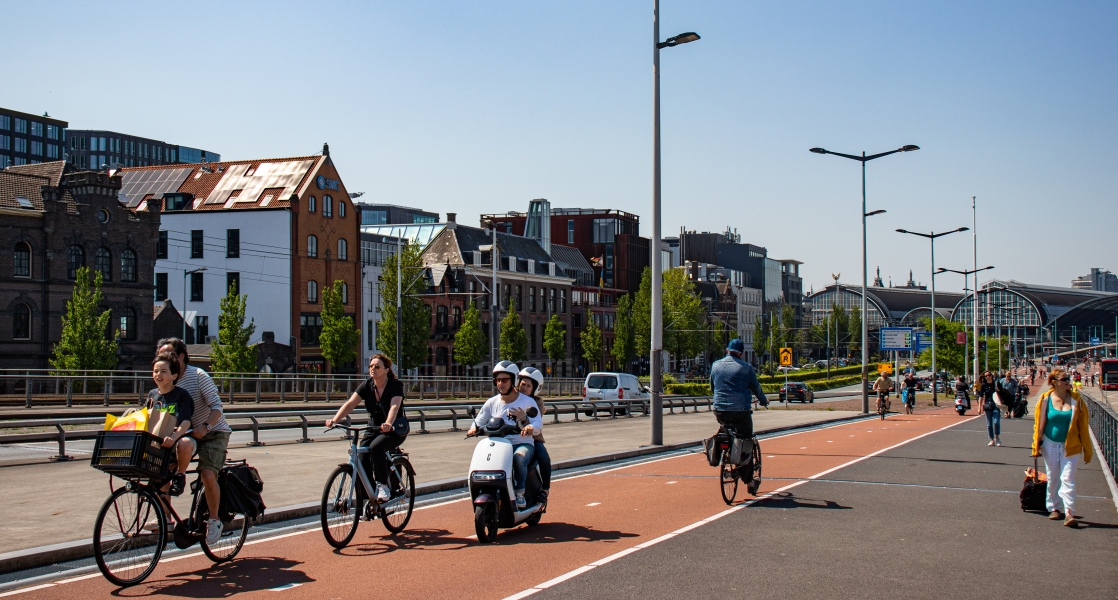 Nederlands Verplaatsingspanel (NVP)