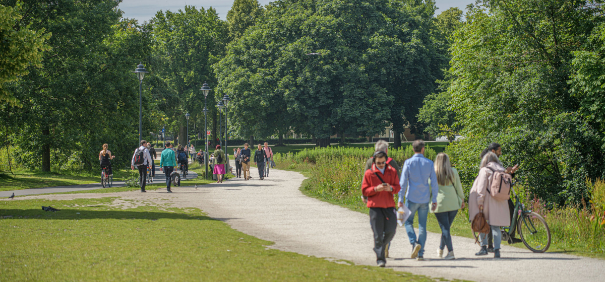 voetganger 4 - Den Haag.jpg