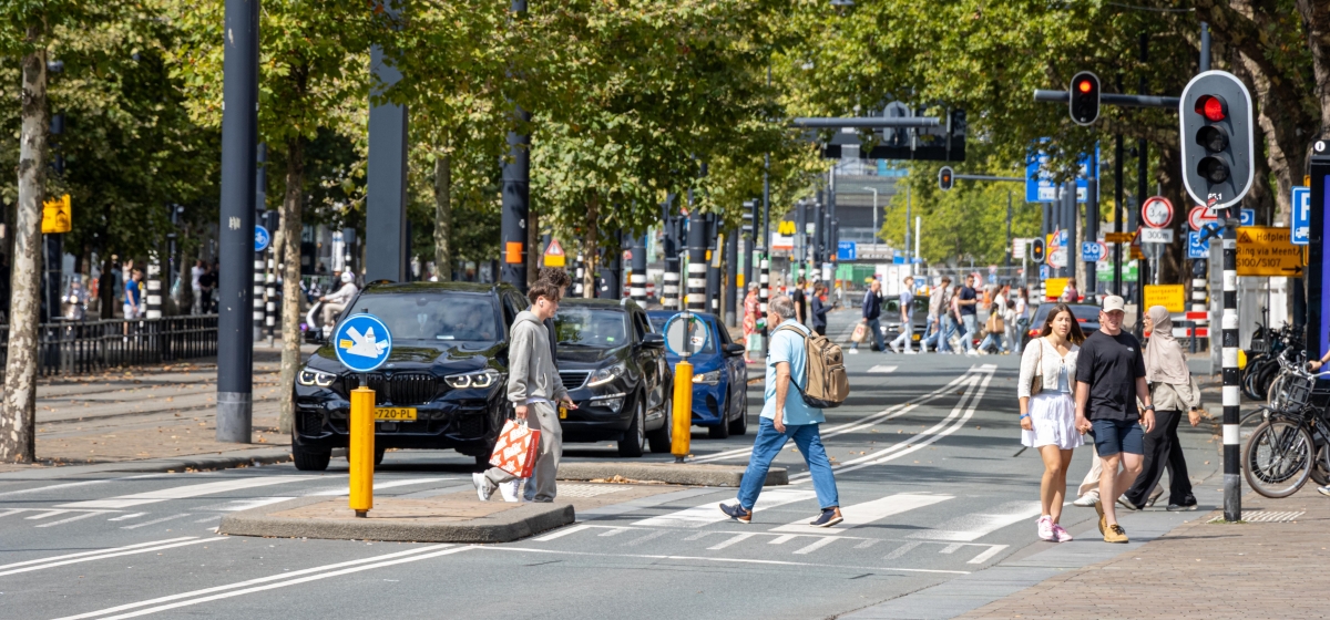 Verkeersmodellering whitepaper