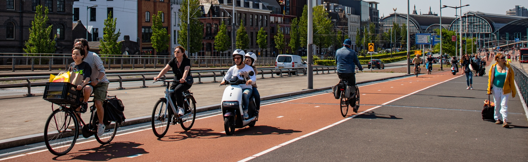 Nederlands Verplaatsingspanel (NVP)